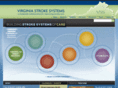 virginiastrokesystems.com