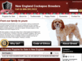 newenglandcockapoobreeders.com