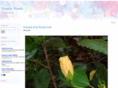 scenicpixels.com