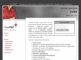 teampqt.com