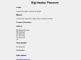 big-healey.org