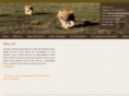 cascadesafricasafaris.com