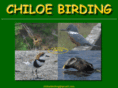 chiloebirding.com