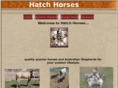 hatchhorses.com