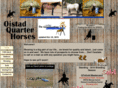 oistadquarterhorses.com