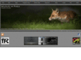 wildlifeinpixels.com