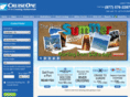 catchthecruisebug.com