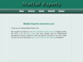 matlab-experts.com