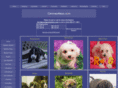 pups2dye4.com
