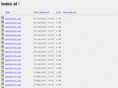 servernette.com