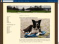 tunevannet.com