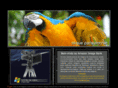amazonimagebank.com