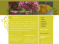 creativeorganization.net