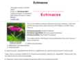 echinacea.ws