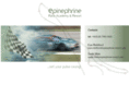 epinephrine-resort.com