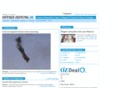 ostseezeitung.biz
