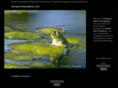 thompsonnaturephoto.com
