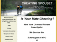 cheatingspouse.biz