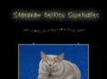 starbeamcats.com