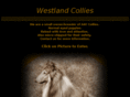 westlandcollies.com