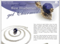 blueberrycharm.com