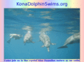 konadolphinswims.org