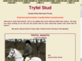 tryfelponies.com