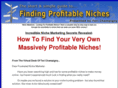 finding-profitable-niches.com