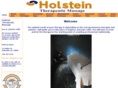 holsteintherapy.com