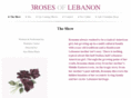rosannacacace.com