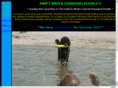 swiftwaterpudels.com