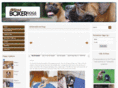 allaboutboxerdogs.com
