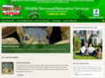 buckscountywildliferemoval.com
