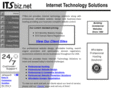 itsbiz.net