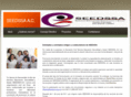 seedssa.org.mx