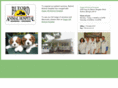 bufordanimalhospital.com