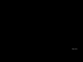cdmubengal.org