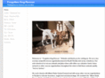 forgottendogrescue.com