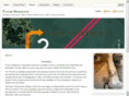 futureheadspace.com
