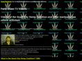 qchemp.com
