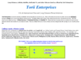 toriienterprises.com
