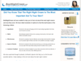 bestnightcream.net