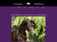 cascada-arabians.com