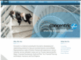 concentricbusinesssolutions.com