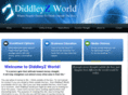 diddleyzworld.com