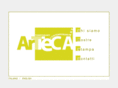 tecacontemporary.com
