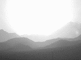 lowdesertpunk.com