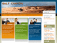 saltcanyon.com