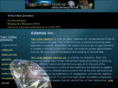 twincitiesjewelers.com