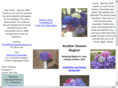 hydrangeabouquet.com